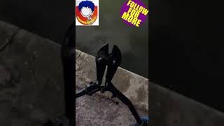 Bolt croppers Dodgy Full Video AdventureswithSonik environmentalcleanup magnetfishing [upl. by Atirak]