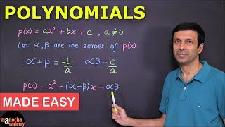 Polynomials Class 10 [upl. by Musser]