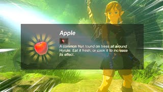 Can you beat Breath of the Wild with Random EVERYTHING [upl. by Gran]