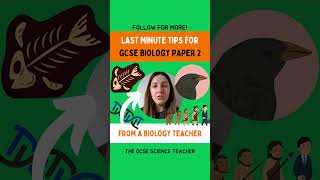 Biology Paper 2 Tips You can do it 👊🍀 [upl. by Shwalb214]