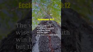 Ecclesiastes 1012 ⭐ bibleshorts bibleverse ecclesiastes [upl. by Dnomad]