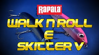 Rapala Walk n Roll e Skitter V  Recensione e consigli su come pescare le spigole a topwater 🔴🐟 [upl. by Ieluuk274]