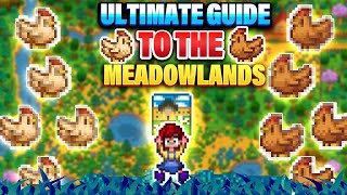 Everything You MUST KNOW About The MEADOWLANDS [upl. by Boyer899]