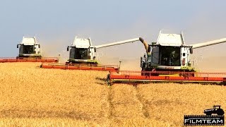 4 Claas Lexion 760  580 Mähdrescher am Gerste dreschen Ernte 2014 in Lützow [upl. by Centonze]