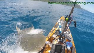 Shark attacks kayak off coast of Hawaii [upl. by Elsey]