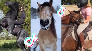 The Best HORSE  TikTok Compilation 87 [upl. by Yrahca555]