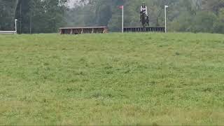 Sale Horse Dante XC at Old Tavern Horse Trials  Oct 2024 [upl. by Percival]