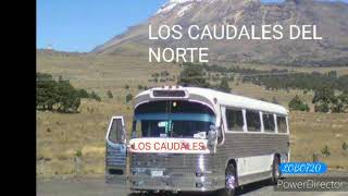 LOS CAUDALES DEL NORTE 12 CUMBIA FRANCESA [upl. by Inele823]