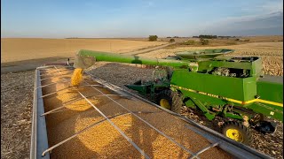 Half Way Through Corn  Harvest 5 2024 [upl. by Anytsyrk676]