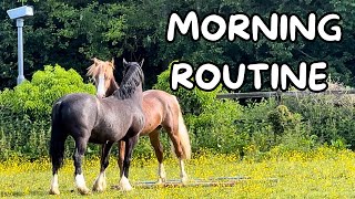 MORNING ROUTINE OF AN EQUESTRIAN SPRING  SUMMER 2024 [upl. by Theola]