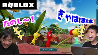 【ROBLOX】ピクミンやってみたらたのしすぎた！ [upl. by Dirraj759]