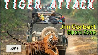 Tiger attack in jim corbett I tiger attack in forest I tiger attack on tourists I tigerattitude [upl. by Dunkin181]