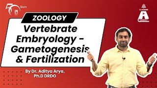 Vertebrate Embryology  Gametogenesis and Fertilization  Zoology  S Chand Academy [upl. by Iover]