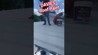 Transform Your Home with a Roof Paint Renovation viral fyp maintenance shorts satisfying [upl. by Lassiter]