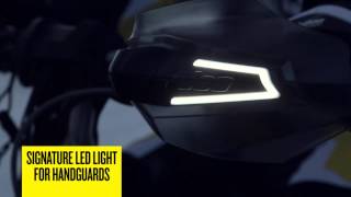 SkiDoo LED Lighting Accessories [upl. by Teerpnam]