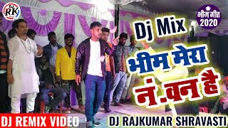 Jisne Banaya Samvidhan Bhim Mera Number One Hai जिसने बनाया संविधान भीम मेरा नंबर बन है  Bhim Dj [upl. by Gayleen]