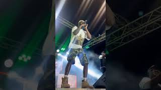 Samini on fire at Hon Ursula Owusus 60th Birthday Celebration [upl. by Gavrilla]