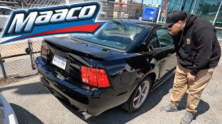 NO WAY Maaco Painted his Mustang MACH1 for 1000 AND [upl. by Atnahs]