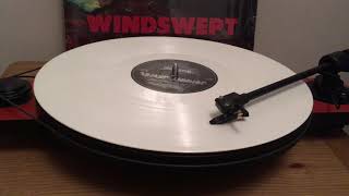 Johnny Jewel Windswept Vinyl Rip [upl. by Uaeb619]