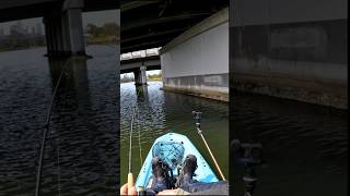 Smoked testing Gulp Salty Nippers under Melbourne Metro Bridges [upl. by Vola121]