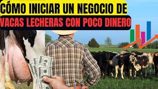 Cómo Iniciar un Negocio de Vacas Lecheras con Poco Dinero [upl. by Ellac]