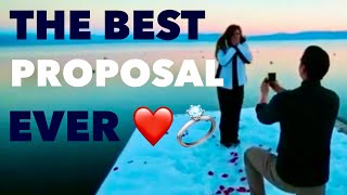 The BEST Proposal Ever  Rachele Brooke Smith  Emilio Palafox Relationship Renegades Coldplay [upl. by Iadrahs]