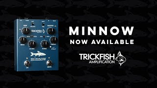 Trickfish Amplification MINNOW Bass PreampDI [upl. by Araet]