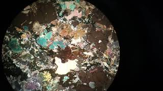 Amphibole thin section in microscope stage rotation in both conditions PPL ampXPL [upl. by Timms]