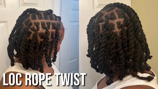 How to Two Strand Rope Twist on Locs [upl. by Notna850]