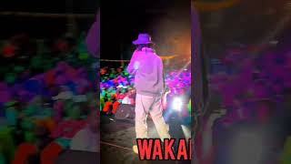 WAKADINALI mbogi rapmusic bar hiphopmusic rap freestylerap [upl. by Blaine]