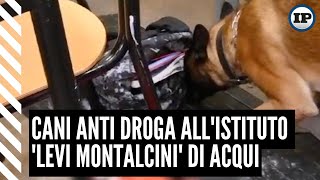 Cani anti droga allIstituto Levi Montalcini di Acqui [upl. by Lahcsap273]