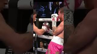 When Bivol Made Canelo Ordinary [upl. by Ahsienot]