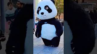 Papa Panda🐼in a crowd of people in the citytranding shorts051024frankfurt ZeilmaaGermany [upl. by Ahsiuqram]