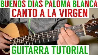 Buenos Dias Paloma Blanca  Tutorial de Guitarra  Canto Para La Virgen  Para Principiantes [upl. by Yenaiv]