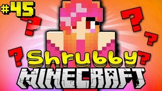 SUNNY WAS MÖCHTEST DU  Minecraft Shrubby 45 DeutschHD [upl. by Colan]