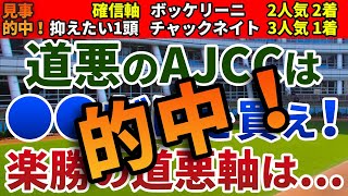 AJCC2024 競馬YouTuber達が選んだ【確信軸】道悪のアメリカジョッキークラブカップは●●を買え！ [upl. by Brooks]