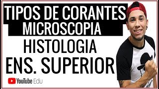 Aula Tipos de Corantes e Métodos Gerais de Coloração  Microscopia │Biolodúvidas [upl. by Hux696]