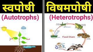 स्वपोषी और विषमपोषी में अंतर  swaposhi aur vishamposhi mein antar  autotrophs and heterotrophs [upl. by Ramaj839]