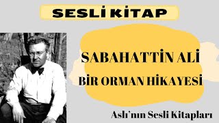 Sabahattin Ali Bir Orman Hikayesi Sesli Kitap Dİnle [upl. by Hartley]