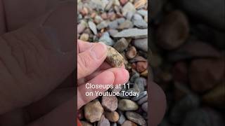 Rainbow Rocks of Flathead Lake Montana [upl. by Les]