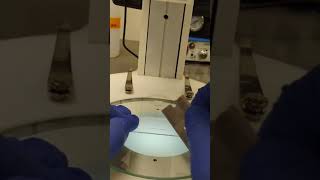 Cutting needle for microinjection of zebrafish embryos [upl. by Aligna]