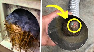 Man Thinks He Has Birds Nest In Air Shaft He Turns Pale After Seeing Whats Really In There [upl. by Jaela]