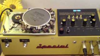 Analog Delay Binson Echorec 2  Special Made Effect [upl. by Eecyaj]