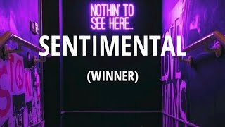 WINNER  Sentimental Indo Sub [upl. by Blankenship]