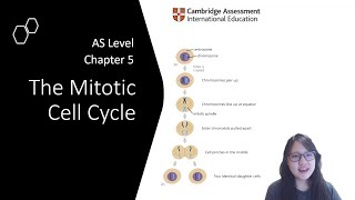 Chapter 51a  Terminologies and Chromosome Structure  Cambridge ALevel 9700 Biology [upl. by Mendes]