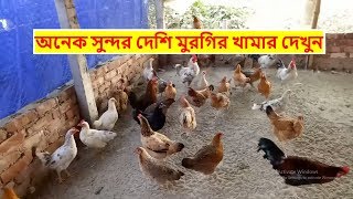 অনেক সুন্দর দেশি মুরগির খামার দেখুন  deshi murgi palon in bangladesh [upl. by Emilee204]