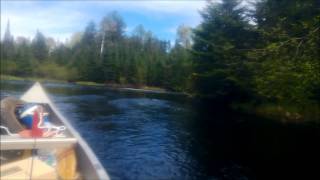 Whiteface Reservoir  Bum Creek Tributary June 3 2013 [upl. by Nolrac]