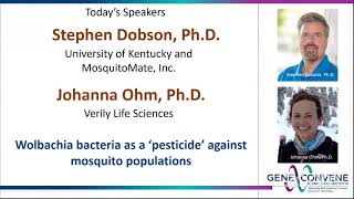 Wolbachia bacteria as a ‘pesticide’ against mosquito populationsStephen Dobson  Feb 24 2021 [upl. by Mukund]