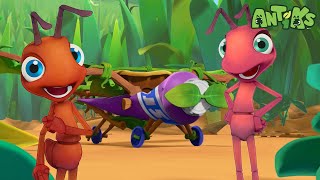 Ants ready to depart 🔴NEW EPISODE🔴 Funny Cartoons  Funny Videos for kids  ANTIKS 🐜🌿 [upl. by Attennyl]