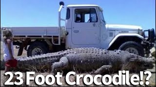 Largest Crocodiles In The World [upl. by Telocin115]